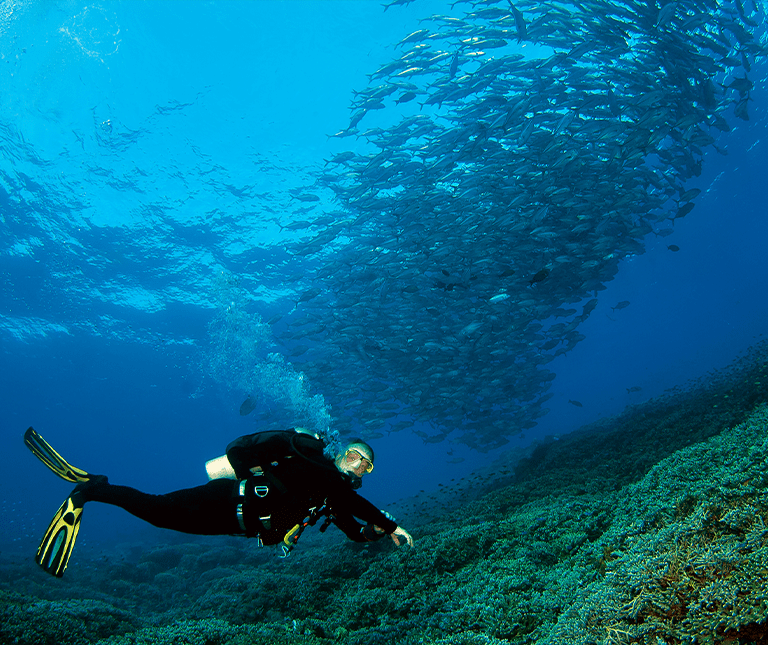 Plongée sous-marine dans les mers du Sud : 3 escales de croisières
